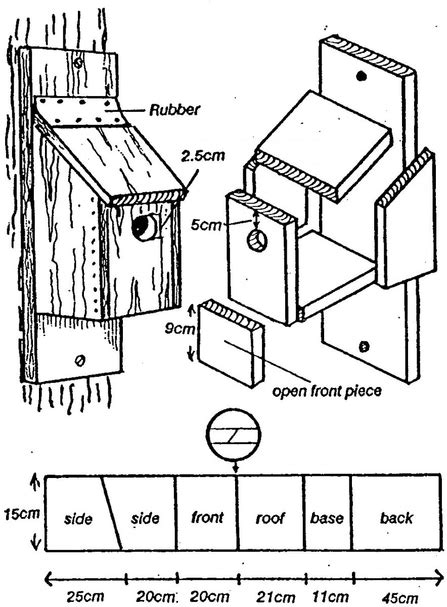 Bird Nesting Box Designs: A Comprehensive Guide - Home Decor Ideas