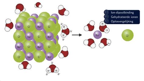 Zouten Oplossen En Oplosvergelijking Vwo Scheikunde Uitleg Nova