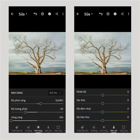 Công thức chỉnh ảnh Lightroom bằng Tiếng Việt hot 2022