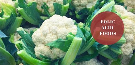 folic rich diet