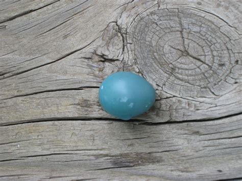 Color in our World: Robin Egg Blue