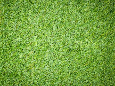 Artificial Turf Japanese Green Stock Image Colourbox