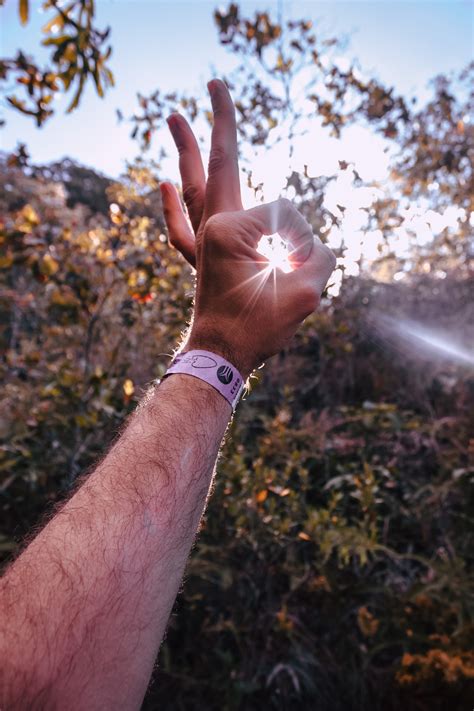 Free Images Hand Finger Light Sky Spring Sunlight Arm Leaf