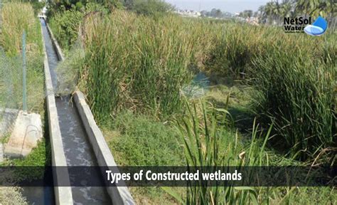 How many types of Constructed wetlands - Netsol Water