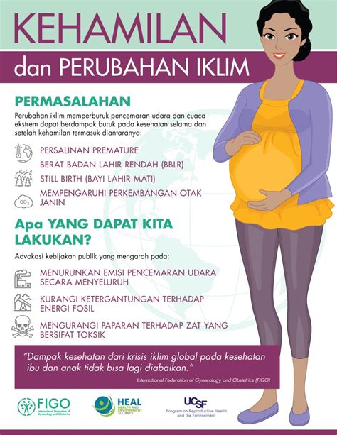 health  environment alliance climate change puts pregnant women