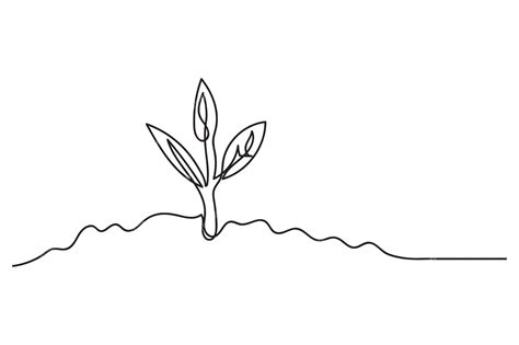 Premium Vector Single Line Drawing Of A Young Plant Environmental