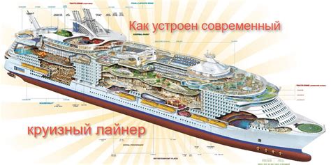 Елена Картавцева on LinkedIn: Как устроен современный круизный лайнер