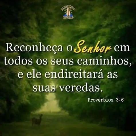 Reconheça O Senhor Em Todos Os Seus Caminhos - Reconheça o Senhor - Imagens Diárias - 10590