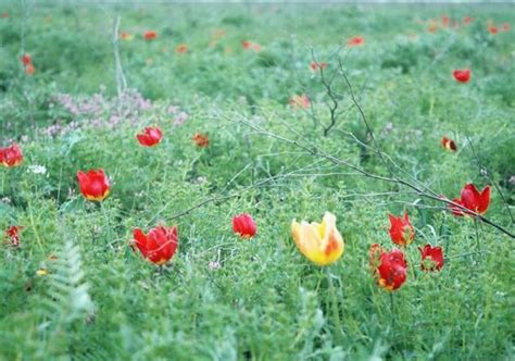 Заповедник «Черные земли»