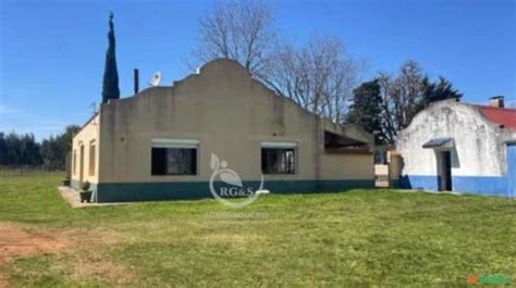 Casas No Uruguai A Venda - Estância Completa À Venda no Uruguai – Preço Abaixo do Merc 875431