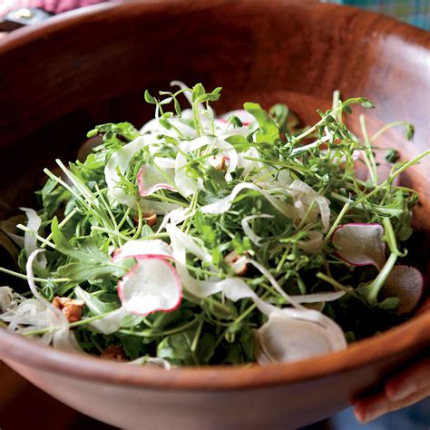 Черная Редька Жареная Рецепты - 62 фото