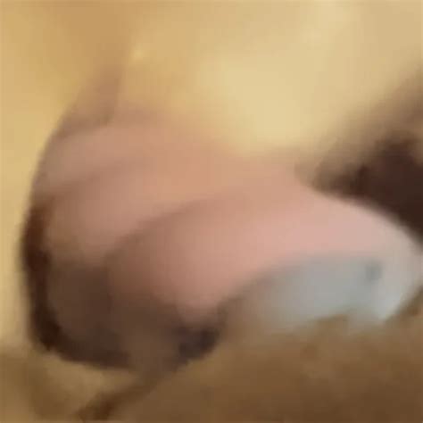 Spun Fun In Nc In English Porn XHamster