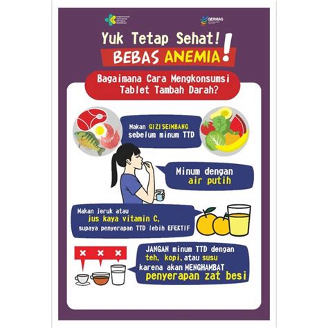 Jual Poster Bebas Anemia Shopee Indonesia