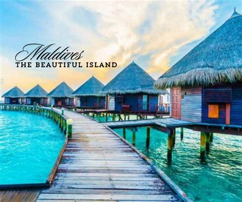 Maldives Travel Guide Sammelan Tours And Travels For Best Tour
