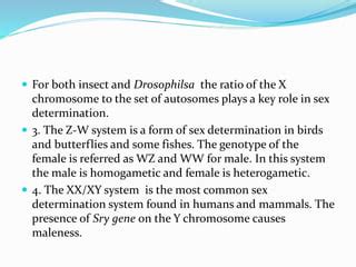 Sex Determination P A C 2015 PPT