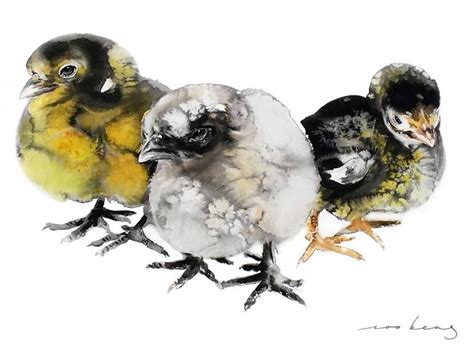 chick cuties drawing  soo beng lim saatchi art