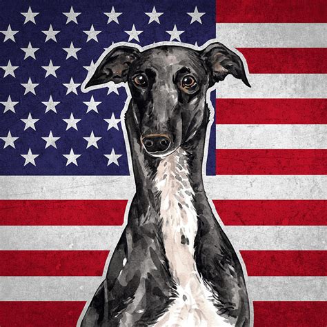 Greyhound - Breed Dog Digital Art by Crazy Squirrel - Fine Art America