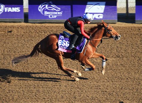 A Wipeout With Hidden Gains