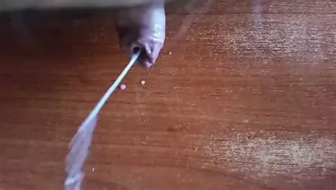 Sborro Al Rallentatore Gay Porn XHamster