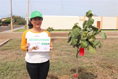 Concurso El Rbol M S Bonito Agro Industrial Paramonga Aip