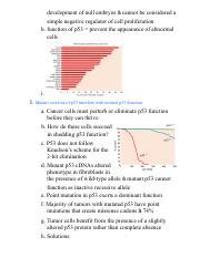 The Role of p53 in Cell Proliferation Regulation and Cancer | Course Hero