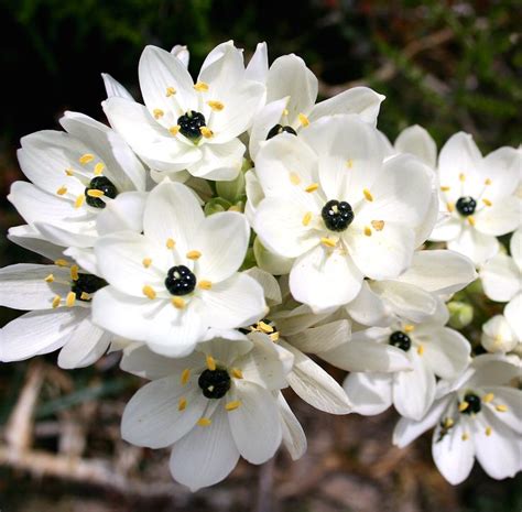 Pin on BLACK & WHITE Delights!