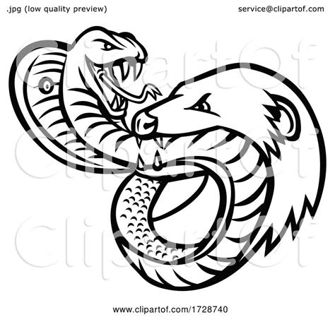 King Cobra Snake and Mongoose Fighting Biting and Attacking Mascot