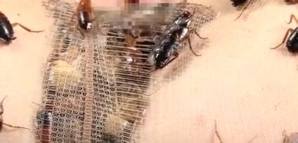 Disgusting Japanese Woman Has Insects Shoved Up Her Ass