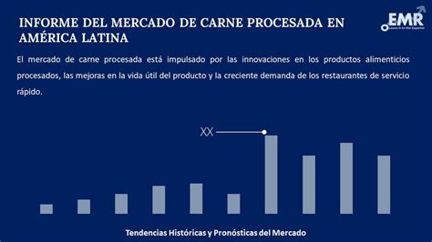 Mercado De Carne Procesada En Am Rica Latina Informe