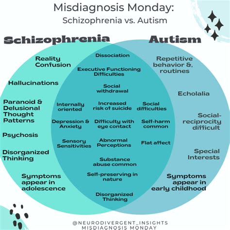 Paranoid Schizophrenia Treatment