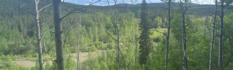 Snowshoe Hare Loop Alberta Canada 734 Reviews Map Alltrails