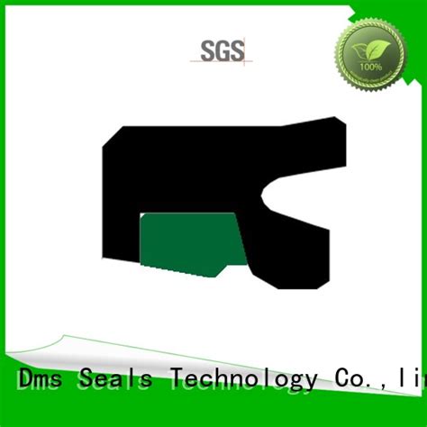 Single Lip Vs Double Lip Seal Dms Seals