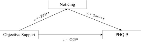 Sex Differences In The Association Between Social Support And Major Depression A Mediation