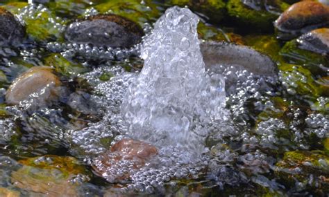 Родничок: чистка родового канала ⋆ Himera