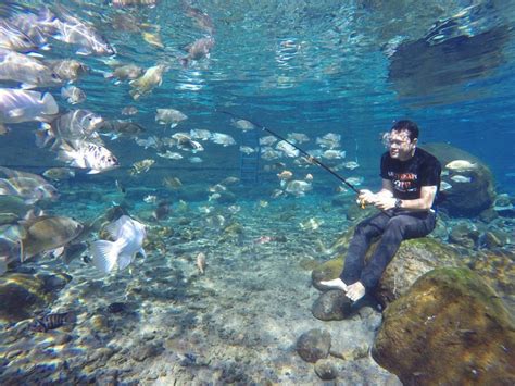 Potret Wisata Underwater Yang Keren Di Jogja Umbul Ponggok