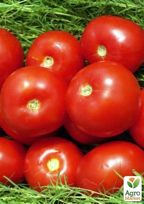 Томат "Волгоградский" (в банке) ТМ "Весна Органик" 3г купить почтой в ...