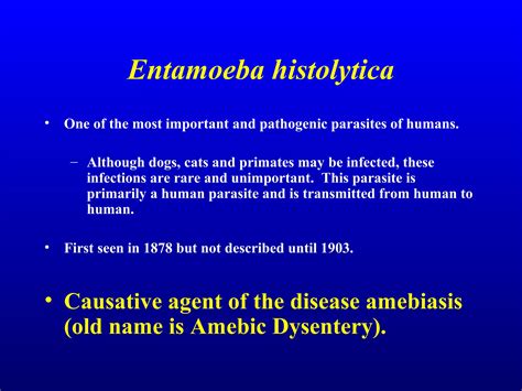 Understanding The Pathogenesis And Treatment Of Parasites Through The Entamoeba Histolytica Sketchy Video Guide 1