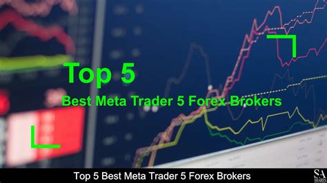 Top 5 Best Best Meta Trader 5 Forex Brokers Revealed 🔎 Youtube