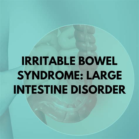 Irritable Bowel Syndrome: Large Intestine Disorder > Niruja HealthTech