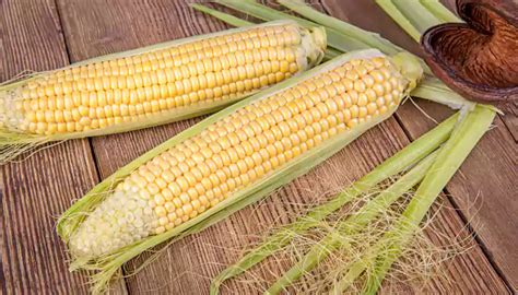 health benefits  corn