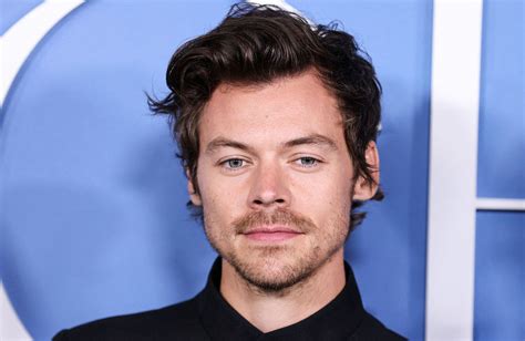 harry styles  fans nous racontent leur admiration pour lartiste elle