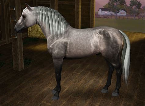 cath cc cc   equines horse breed templates