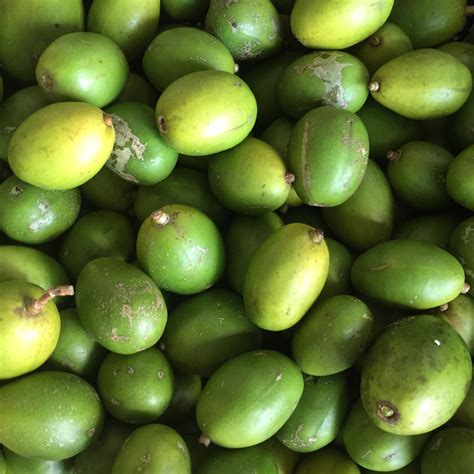 June Plum Box Miami Fruit