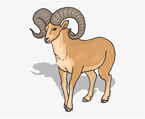 Ram Horns Clipart Png Ram Clipart 486x593 Png Download Pngkit Images
