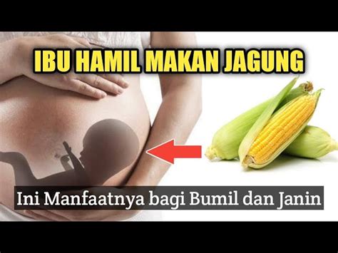 Temukan 7 Manfaat Jagung Rebus Untuk Ibu Hamil Tua Yang Bikin Kamu