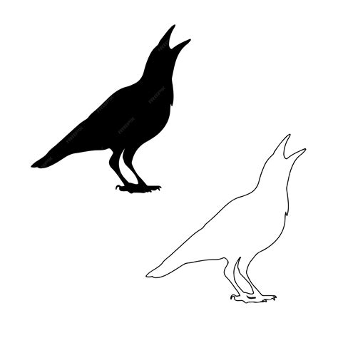 Premium Vector | Crow outline