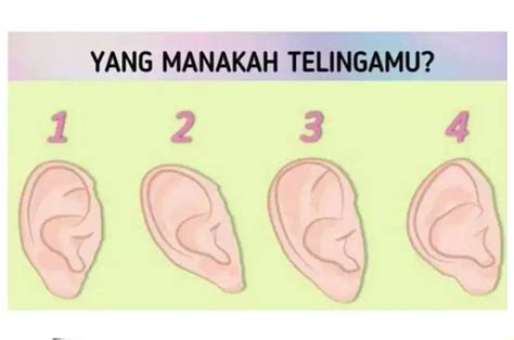 Tes Kepribadian: Bentuk Telinga Ungkap Karakter Asli, Kamu yang Mana ...