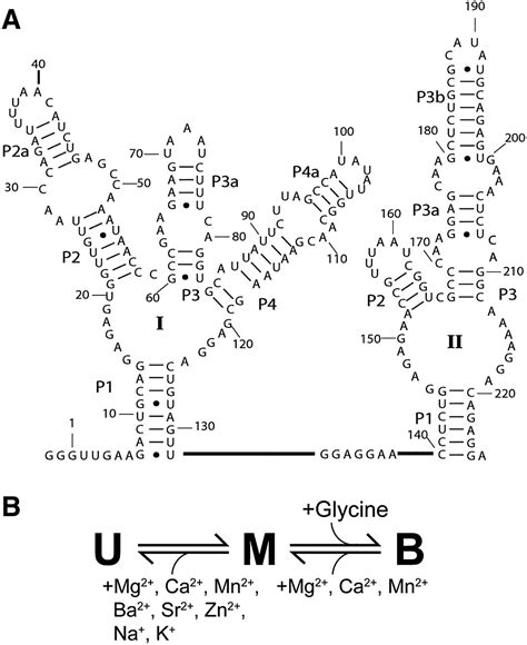 Dissecting Electrostatic Screening Specific Ion Binding And Ligand