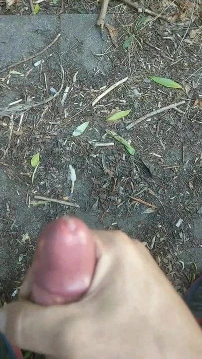 Dingdong Jizz Gay Porn XHamster