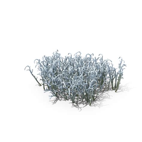 Lila Moss Nude PNG Images & PSDs for Download | PixelSquid